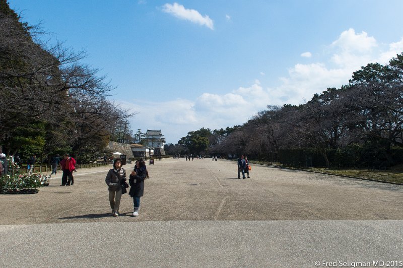 20150312_113051 D4S.jpg - Nagoya Castle